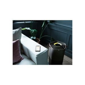 42b98012c9fe52c5d3366a058fc5e1fb38681c77