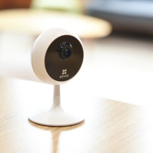 73040694_8318054226