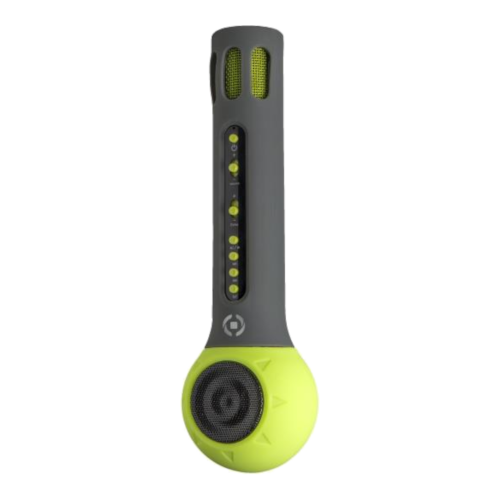 accessorio-cellulare-festivalgn
