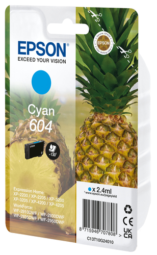 cartuccia-c13t10g24020-ananas-ciano